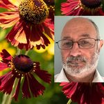 Jon Weiner - @jwflowers52 - Instagram