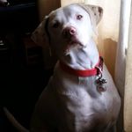 Jon Weir - @jonweir75 - Instagram