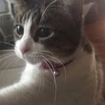 jon weir - @fufuberry - Instagram