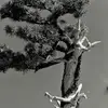 jonweir655 - @jonweir655 - TikTok
