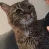 user8718609594766 - @jonwelch50 - TikTok