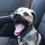Jon Wellman - @tokyo580230 - Instagram