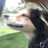 Jon Wells - @jon.wells0 - TikTok