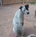 Jon Wells - Facebook