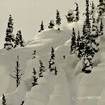 Jon Whelan - @shredjon - Instagram