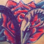 Jon Whelan - @jondoe_w - Instagram
