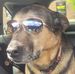 Jon Whitlock - Facebook