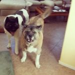 John Whitten - @john.whitten.581 - Instagram