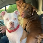 Jon Wild - @wildys1 - Instagram