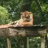 wildjon - @wildjon8 - TikTok
