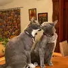 jonwoodson497 - @jonwoodson497 - TikTok