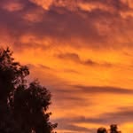 Jon Workman - @jworkman458 - Instagram