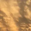 ️ - @jonah.workman1 - TikTok