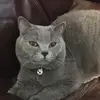 zuckerjon - @zuckerjon - TikTok