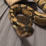 Jonah Abbott - @____jonah__________ - Instagram