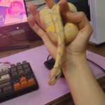 Jonah Barrera - @barrera_jonah - Instagram