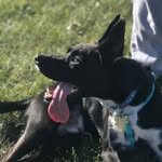 Jonah Bell - @jonah.andthewhale - Instagram