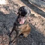 Jonah Boyer - @jonahb1987 - Instagram