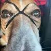 jonahbrowning115 - @jonahbrowning115 - TikTok