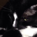 Jonah Carter - @trexjonah - Instagram