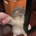 Jonah Clark - Facebook