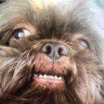 Jonah Cooper - @01010010101ii - Instagram