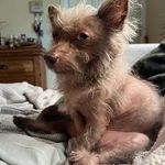 Jonah Cooper - @jcoope108 - Instagram