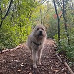 Jonah - @jonah_a_day - Instagram
