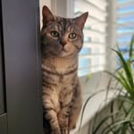 Jonah Delaney - @joonnaahh8 - Instagram