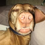Jonah Edwards - @jonahedwards3 - Instagram