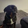 Jonah Farr - @jonah.farr6 - TikTok