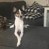 jonahferguson8 - @jonahferguson8 - TikTok