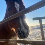 Jonahferguson - @jonahferg7 - Instagram