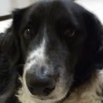 Jonah Fletcher Larson - @boopin_oodles - Instagram