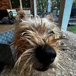 Jonah Hayes - @jonahrandomspamzz - Instagram