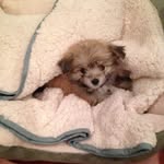 Jonah Hayes - @jonahhayes3 - Instagram