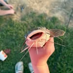 Jonah Hayes - @jonahhayes21 - Instagram