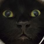 jonah hebert - @scorpion10560 - Instagram