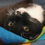 Jonah ray hebert - @scorpion105600 - Instagram