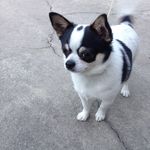 Jonah Robert Lambert - @jonahlambert07 - Instagram