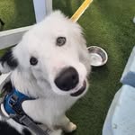 Jonah Lloyd - @jonahllo - Instagram