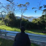 Jonah - @jonahlowefish - Instagram