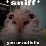 Jonah Lowe - @jonahlowe117 - Instagram