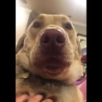 Jonah Martinez - @jonahmartinez6273 - Instagram