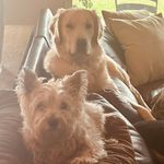 Jonah Morgan - @jonahbosworth - Instagram