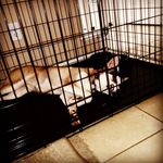 jonah morgan - @jonahmorgan9 - Instagram