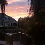 Jonah Petty - @jonah_petty - Instagram