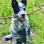 jonahs shoemaker - @jonahsshoemaker - Instagram