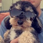 Jonah Stein - Facebook