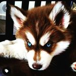@jonahteal65 - Instagram